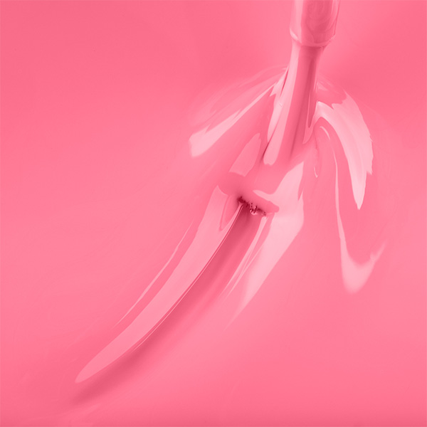 Bagui Berry Custom Colour nail polish brush swatch